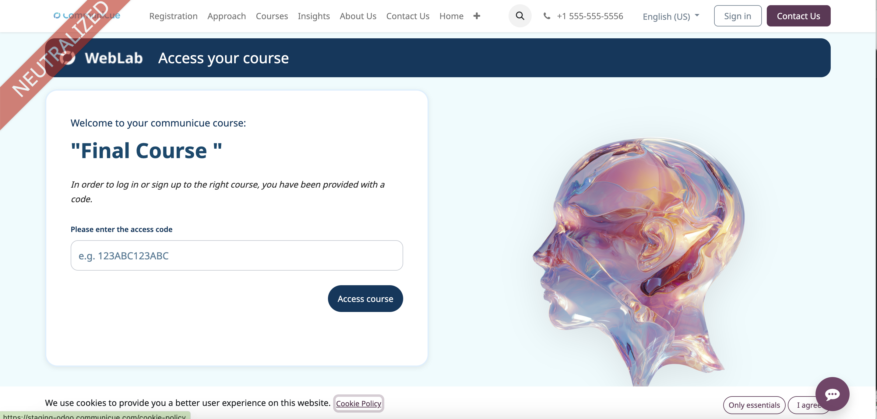 ERP Consultation